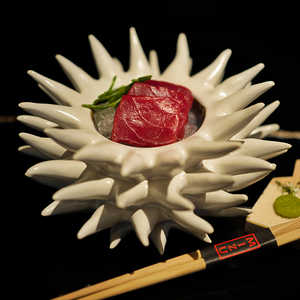 sashimi